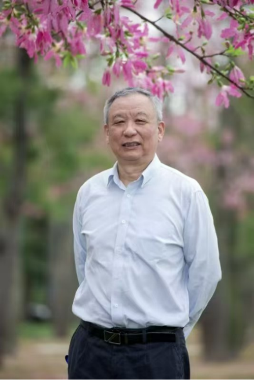季宇：徽商不仅是“历史”，更是“现实”！｜徽商正青春