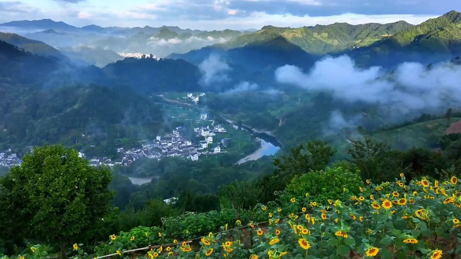 如何判断摄影作品是否为原创？