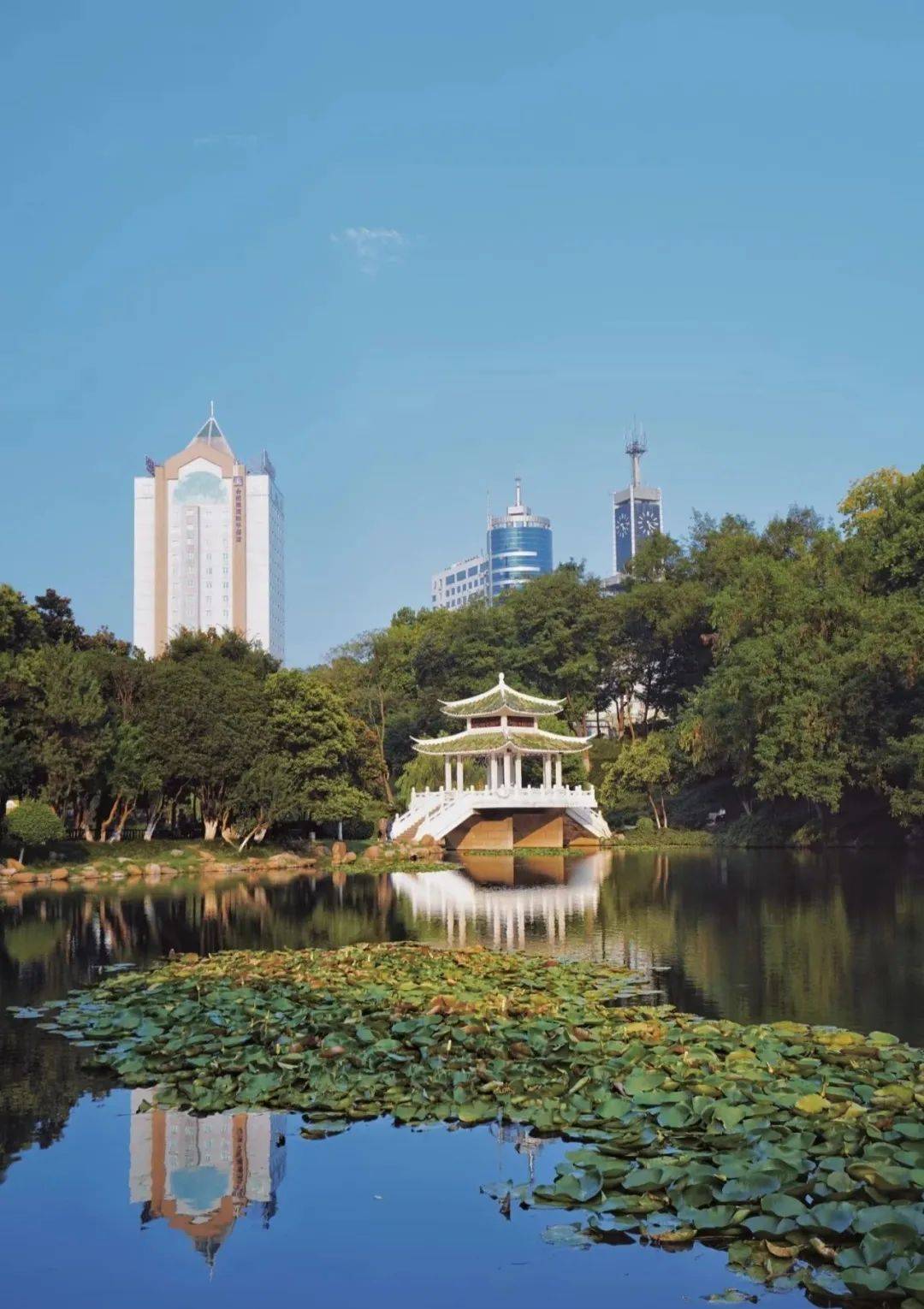 在合肥，当City Walk遇上戏曲