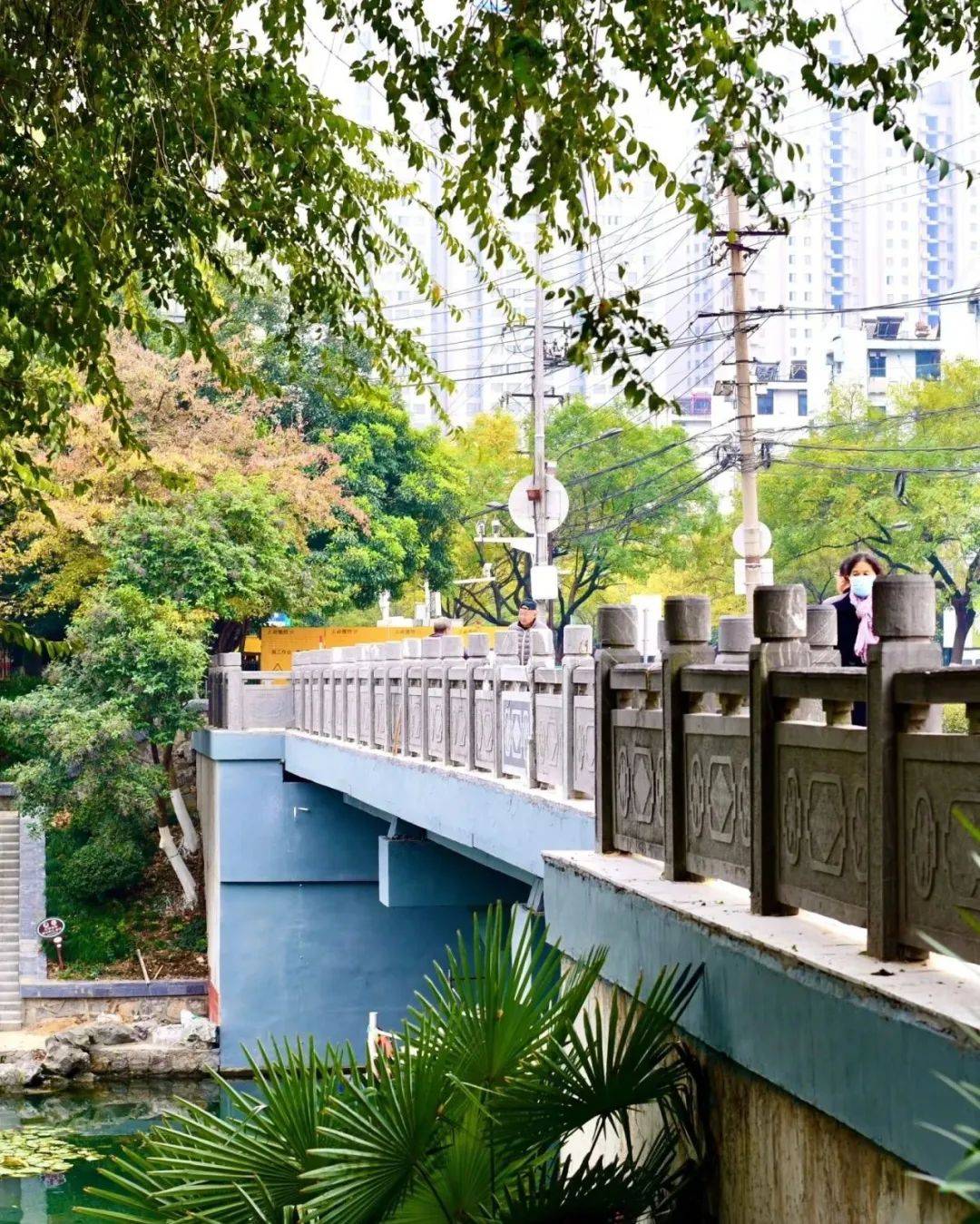 在合肥，当City Walk遇上戏曲