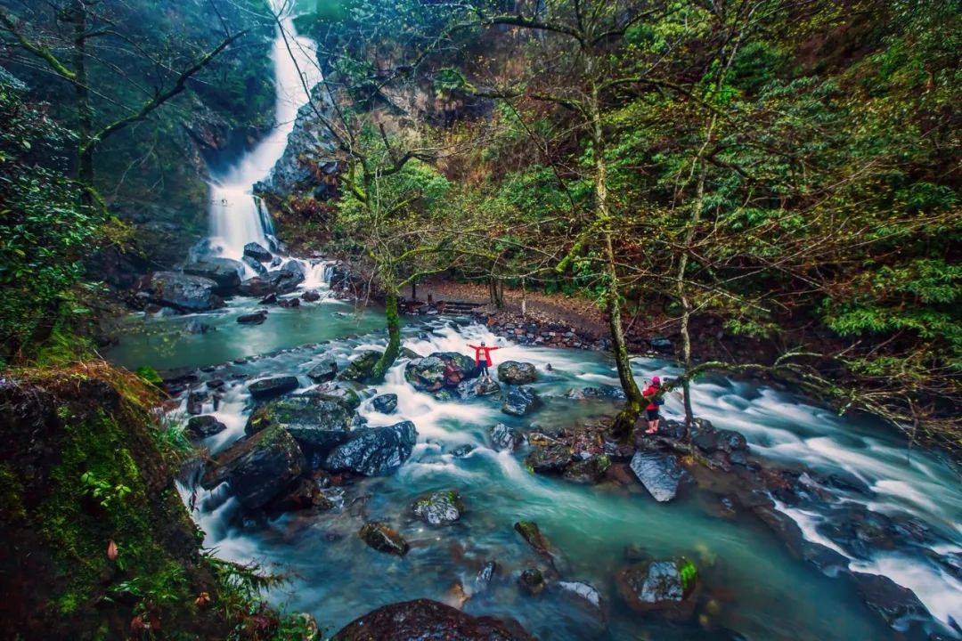 从投稿到公示石台摄影展有哪些关键流程需注意？