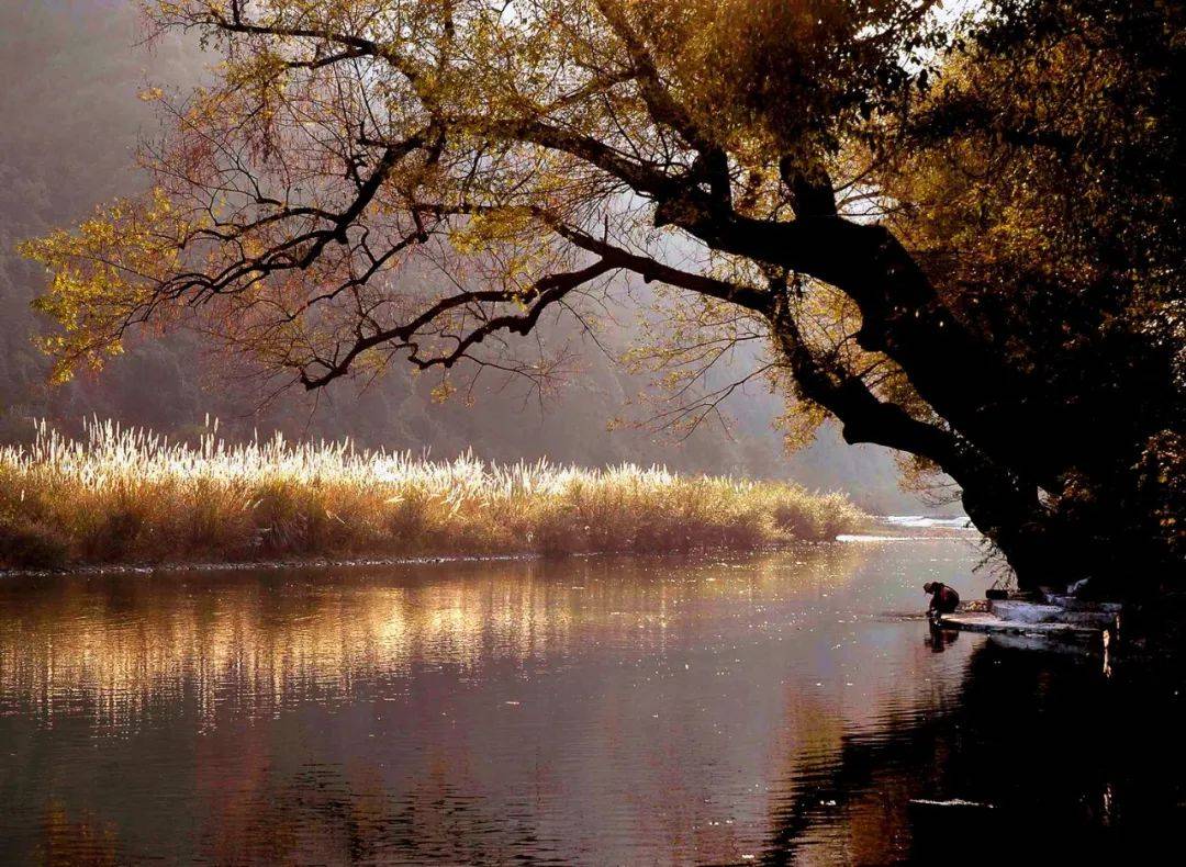 从投稿到公示石台摄影展有哪些关键流程需注意？