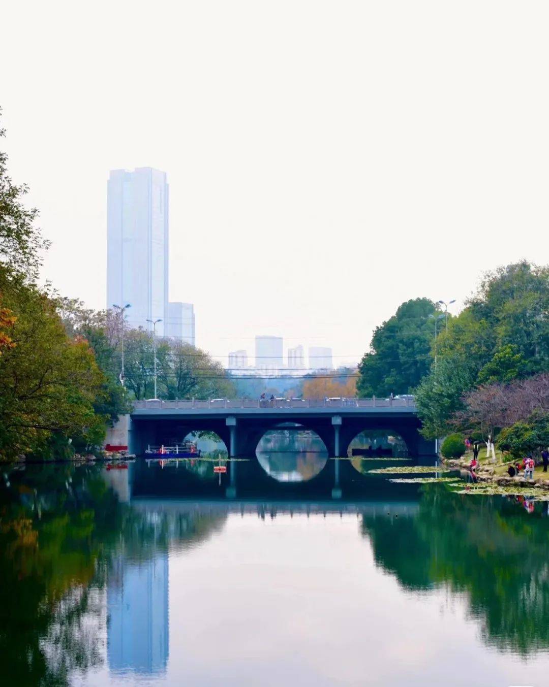 在合肥，当City Walk遇上戏曲