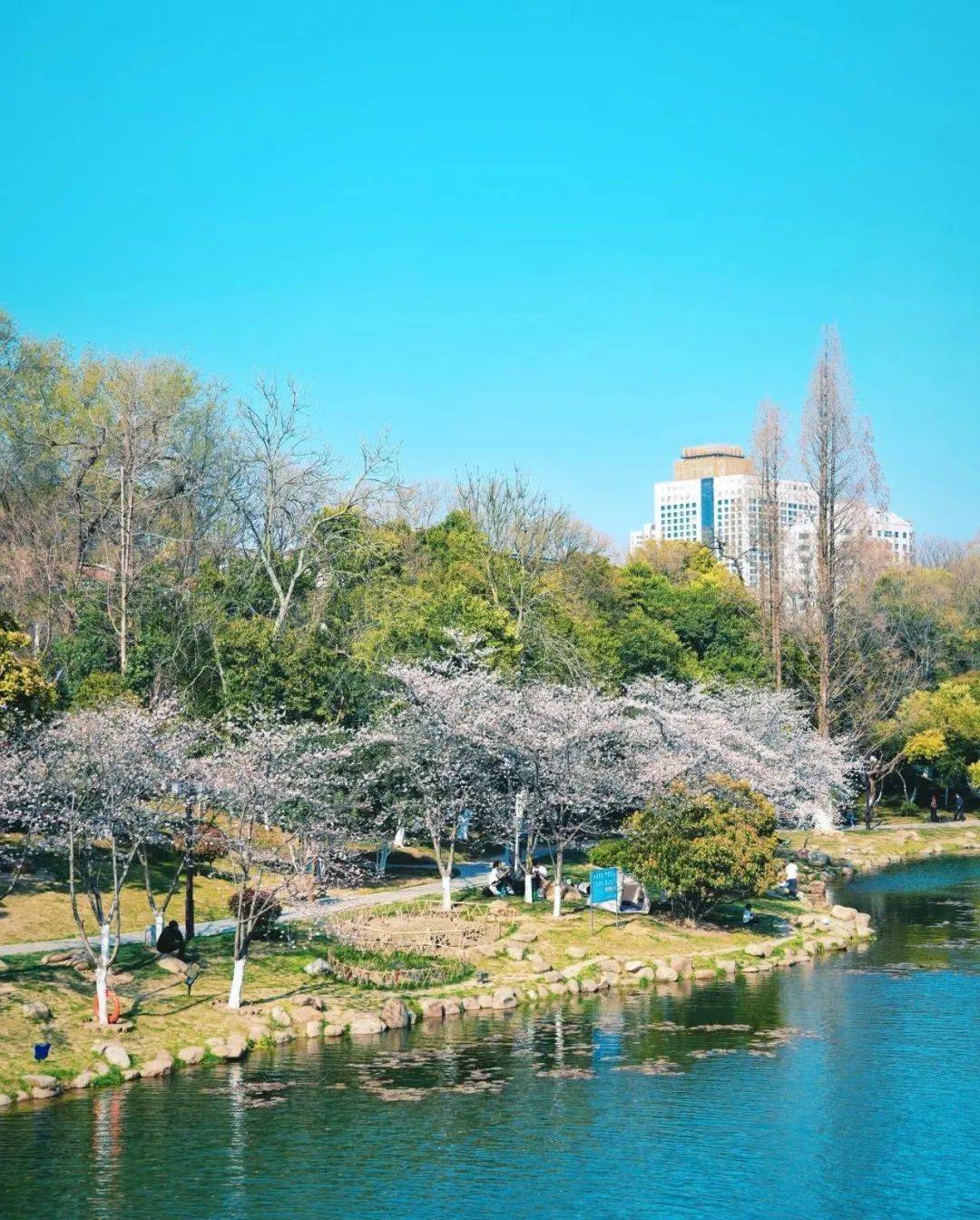 在合肥，当City Walk遇上戏曲